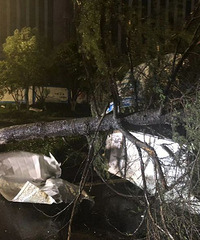 �ⳡ�������������ˣ��̶�20���� С���ĳ�ȫ������