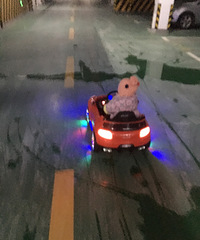 ������Ů˾��������7�������С˾��