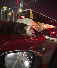 ������Ů˾��������10�������Լ������������ˣ�