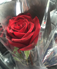 ��������С�߲���ҵ1.8Ԫ ����С��һ��