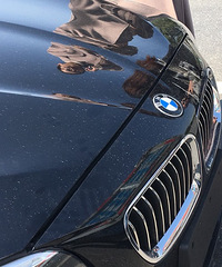 ����ײ�Ͽ���ƨ�ɣ����ѣ����Ǳ����Լ�ײ��ȥ�ġ�������