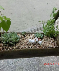 ������ �������˭�ø�˭��~