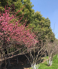 ����ϴ�ĳ� ȥ����ҽԺ���˸���Ӱ ��ƨ�ɾͱ�����