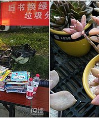 ���黻���ԣ����Ž������100���������