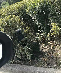 ����һ��������ĳ��·�ݴ����Ȼ���в��ٵ�