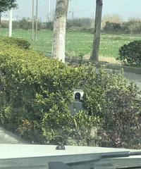 ����һ��������ĳ��·�ݴ����Ȼ���в��ٵ�