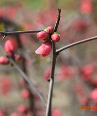 ���������߲�������