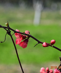 ���������߲�������