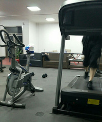 ����Ҫ����Ů����93��GG ��������