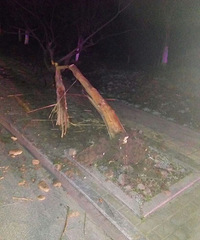 �賿һ�γ�����ײ�˸�����  �Լ��Ľų��� ˾��ʧ�١�������