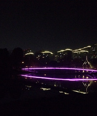 �蹫����κ��ϵ�ҹ�������ģ������з���һ�����ţ�������