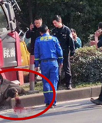 ������Ƶ���������˴������󿨳���ѹ��