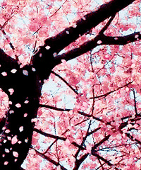 3���ͻ�ȥ��������Ǭ¡��������ѩ��