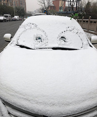 20����ĳ�û�����Ҫ���ޣ�