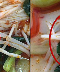 Ż������������ﾪ������桤������