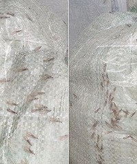 �ܼ��־�֢���㣡�칫�Ҿ��ִ������ϣ�