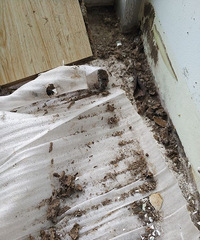 ���칫˾���Ϻ��� �ذ��Ѿ������գ�һ������һ������