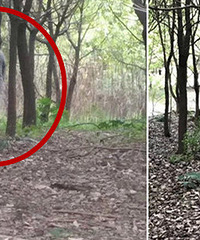 �����ݾ���һ����ʬ��30��ͷ��