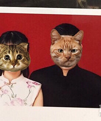 ��Ϊ������Ҫ����΢�� һ����ҳ�����������