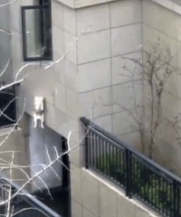 ��������Ű�����ѹ���������10����� ���ð�������ͷ��