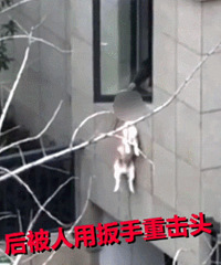 ��������Ű�����ѹ���������10����� ���ð�������ͷ��