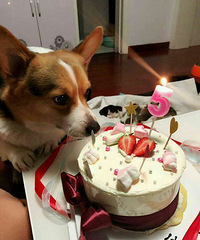 �ų����˻�¡�أ����˴�����ĸ��������� ������զ��