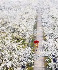 �����滨����