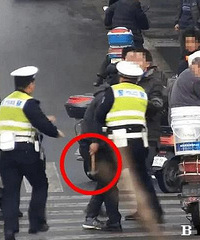 �綯��Υ�����˱��� �����ܷ� ���ó���ͷ��в�񾯣�