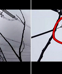 ͻ������������Ҫ������ ��˵�����Ų�����