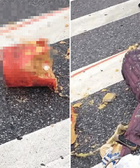 ���ƴ������ײ���г� ���г���������Ѫ��������