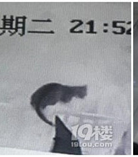 ����Ů������˯��Ұè���� �̲���