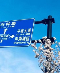 ӣ��������