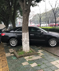 �ǻ��棡·��ͣ���� ��λ���־��������ͣ������