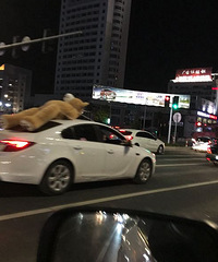 ���Ϸ�֩���˵���ʲô �ҿ����������˳�������ֻ���ܣ�