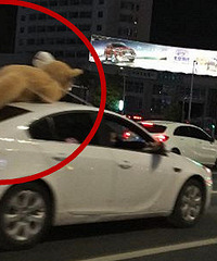 �������棡�������˳�������ֻ���ܡ�����