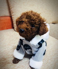 ������ĳ�㳡���̩�� һ��ݾ�û��!���ң������Ų���������