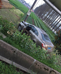 ʥ�������������ŵ�ɲ����ֱ�����˾������Ҳ��֪������ʲô