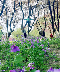 �ع⣡���Ϲ�԰�����ͻ��͵����� ����С��