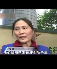 "买回的莲藕发黑变紫,有人说被药水泡过?速看真相"