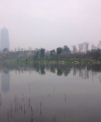 ͩ�������з�˺�