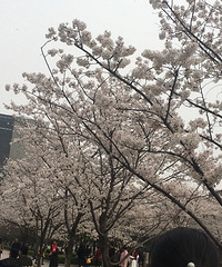 ������ôС �ѵó���ȥРРù ��������������..