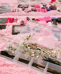 ��ױ�ռ� ϲ���������Լ�