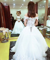 �����ݲ�ɴ�š���أ����Ʒ�800��������ɴ�н�����