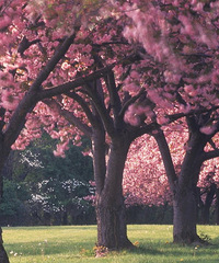 ɹ����Ĵ����μ� ��4���ͻ�һ���Σ�