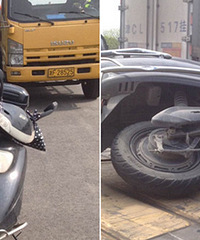 ��Сë¿�ϸ��� ������666��