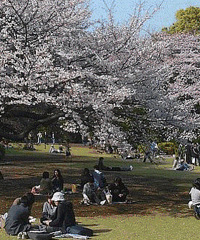 �������Ĵ�ɫ�����������Ӱʦ�� ����ɹɹ�㾵ͷ����˵Ĵ���