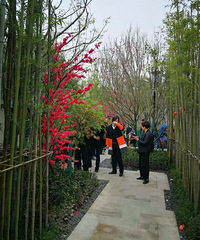 �˴��ڣ�����ĳ¥���ٴο��� �Ŷӵ����ŵ������