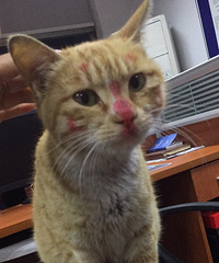 �����˵��һ�ױ^_^��