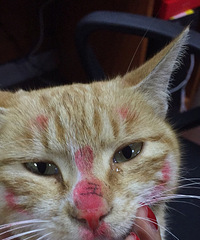 �����˵��һ�ױ^_^��