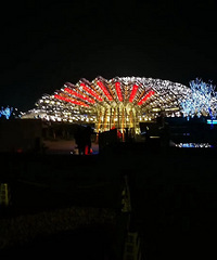 ����ҹ��